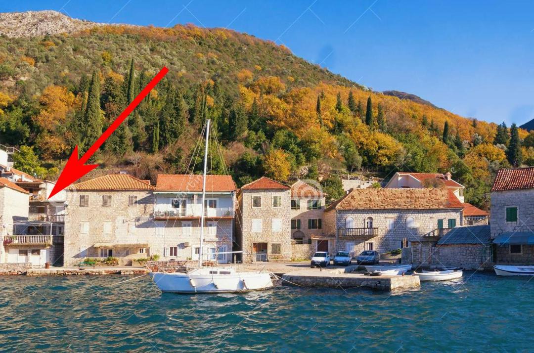 Photo of Others in Lepetane