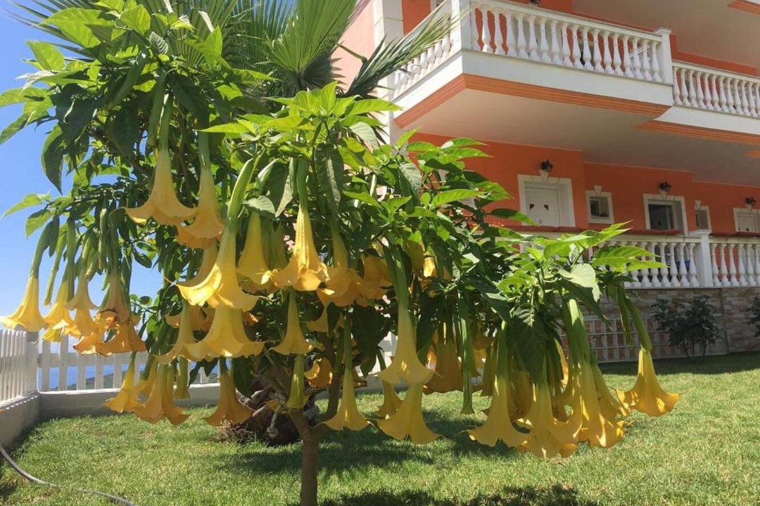 Photo of Others in Parga