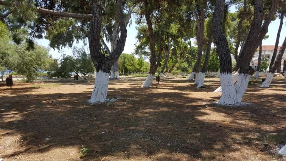 Photo of Others in Kato Diminio