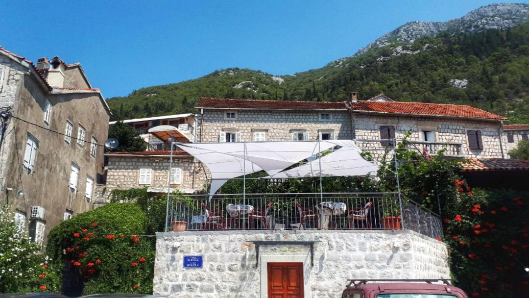 Photo of Others in Perast