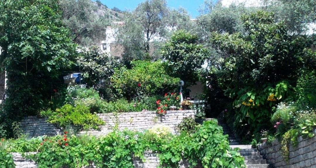 Photo of Others in Sveti Stefan