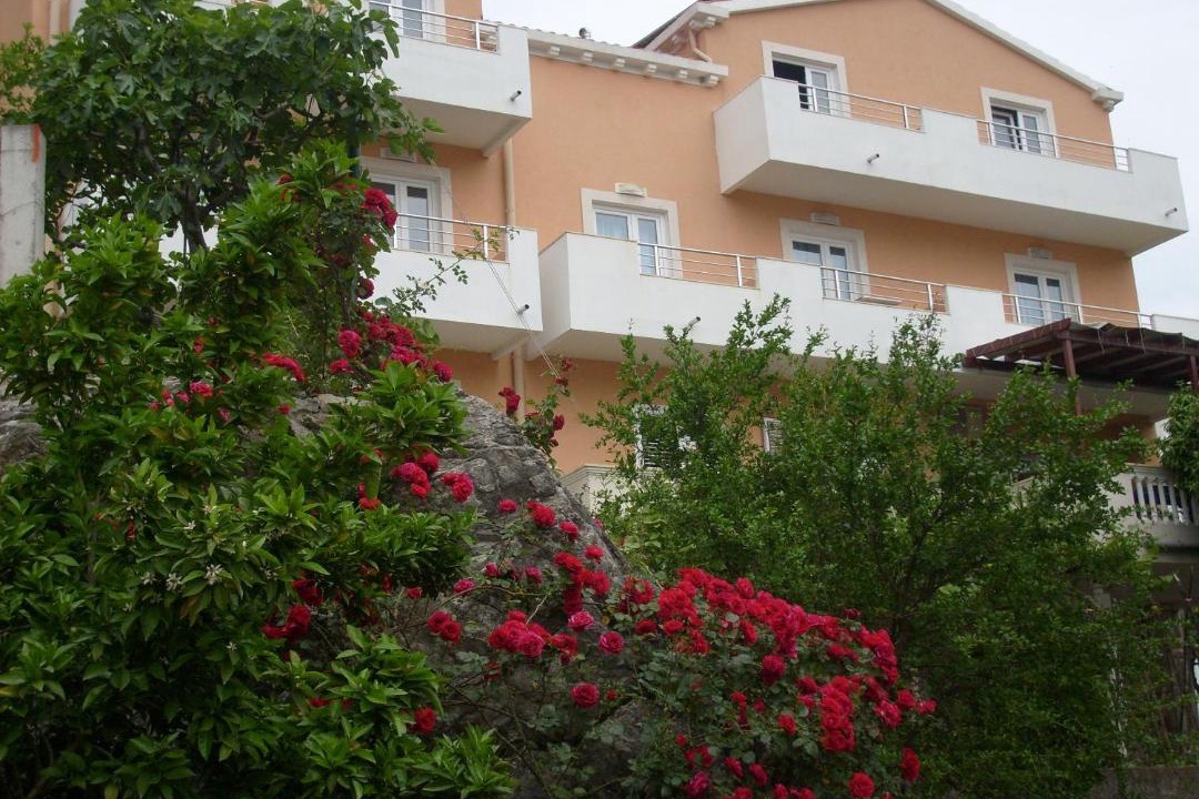 Photo of Others in Topla