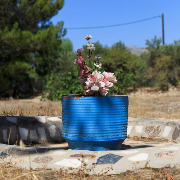 Photo of Others in Pefkos