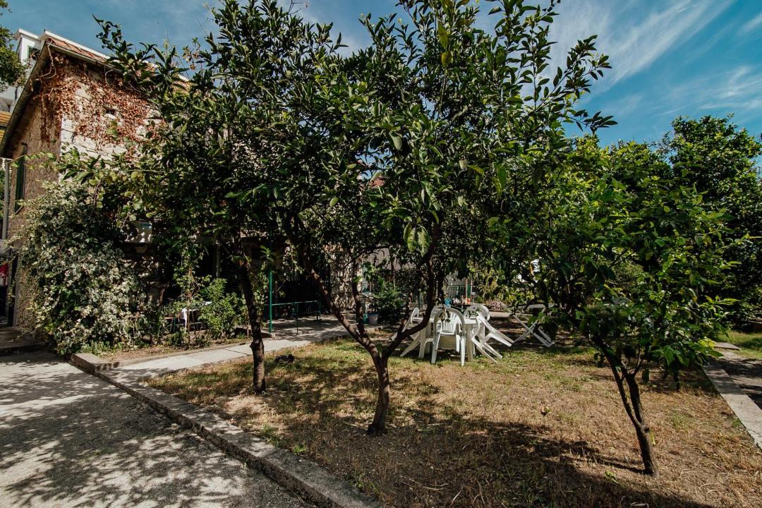 Photo of Outdoor in Herceg Novi