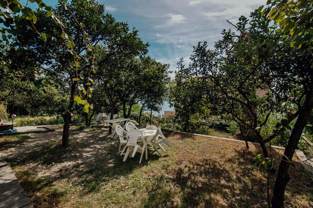 Photo of Outdoor in Herceg Novi