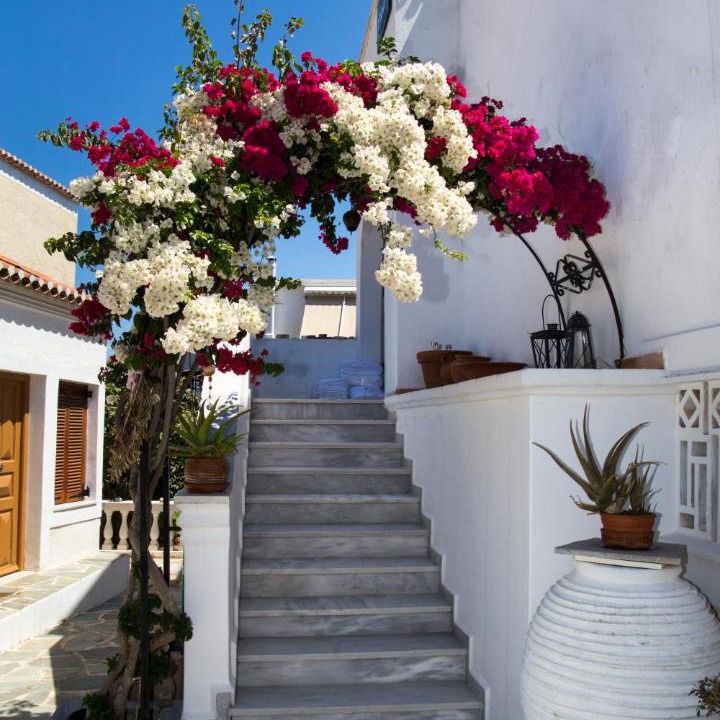 Photo of Others in Spetses
