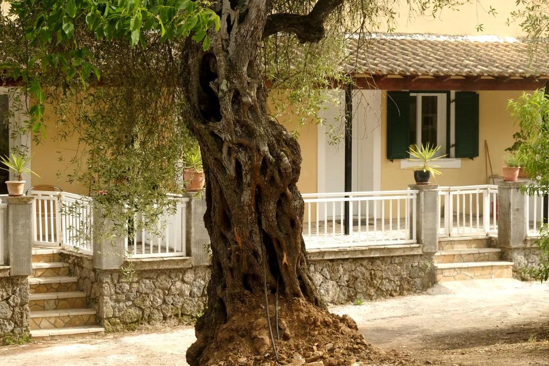Photo of Others in Agios Ioannis
