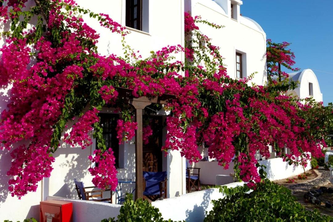 Photo of Others in Agia Paraskevi