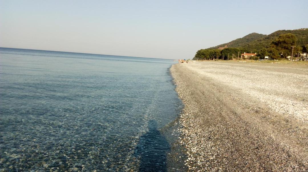 Photo of Others in Agia