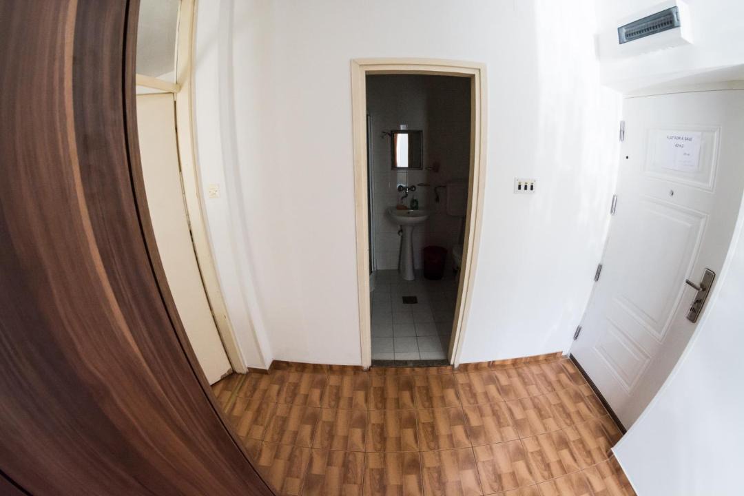 Photo of Others in Pluzine