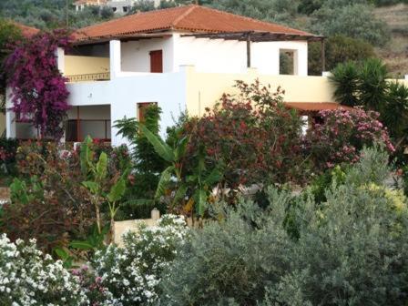 Photo of Others in Melissopetra