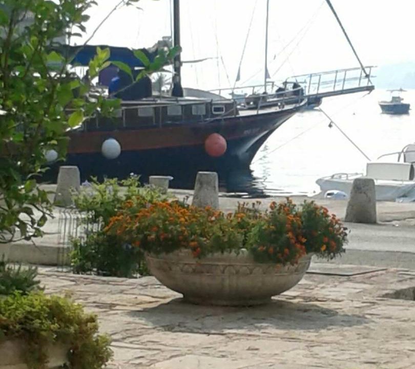 Photo of Others in Perast