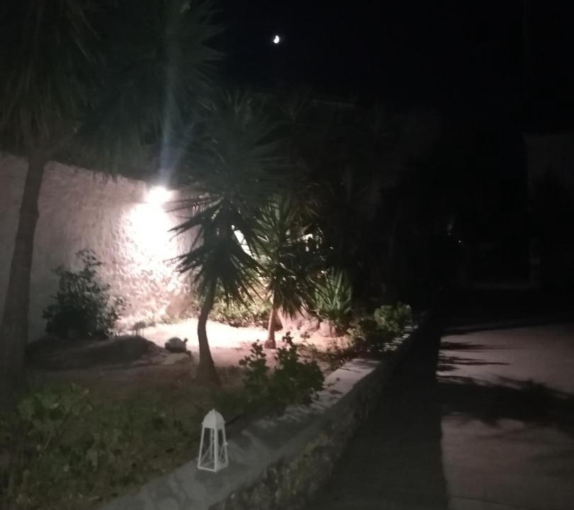 Photo of Others in Spetses