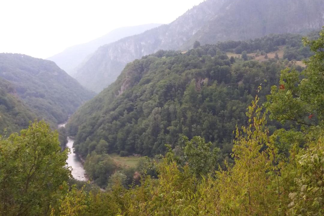 Photo of Others in Ninkovici