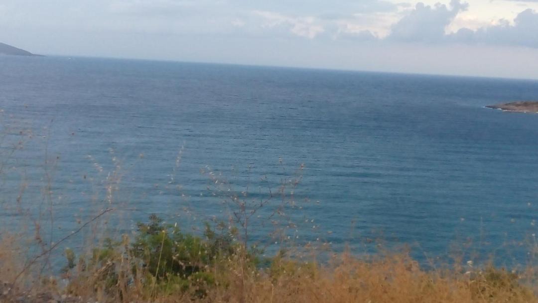 Photo of Outdoor in Lustica