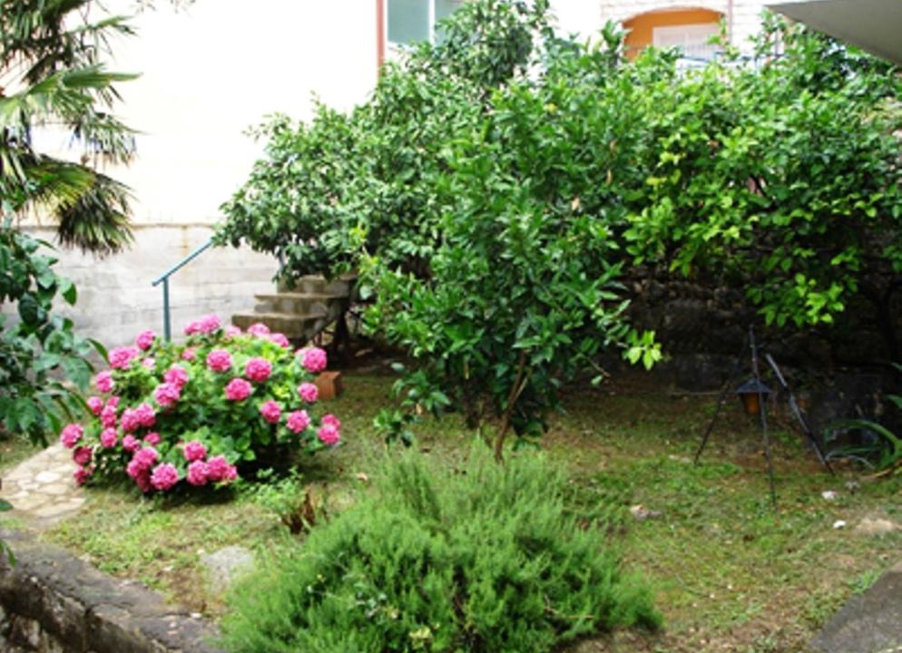 Photo of Others in Sveti Stefan