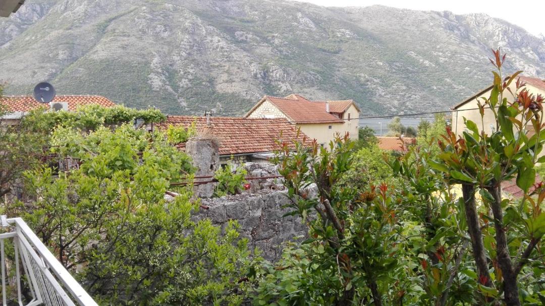 Photo of Others in Donji Stoliv