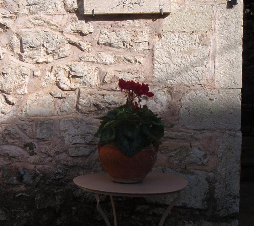 Photo of Others in Dimitsana