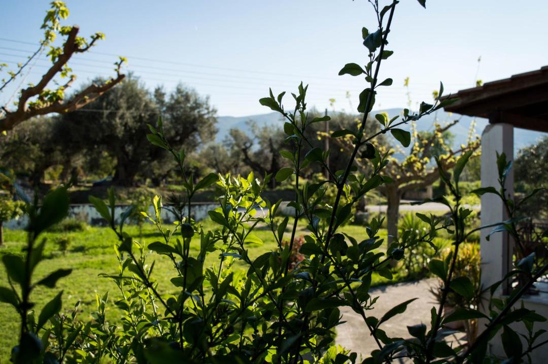Photo of Others in Agia Marina