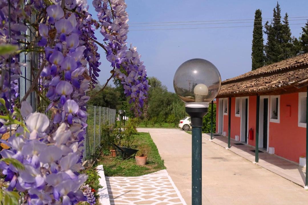 Photo of Others in Corfu Town