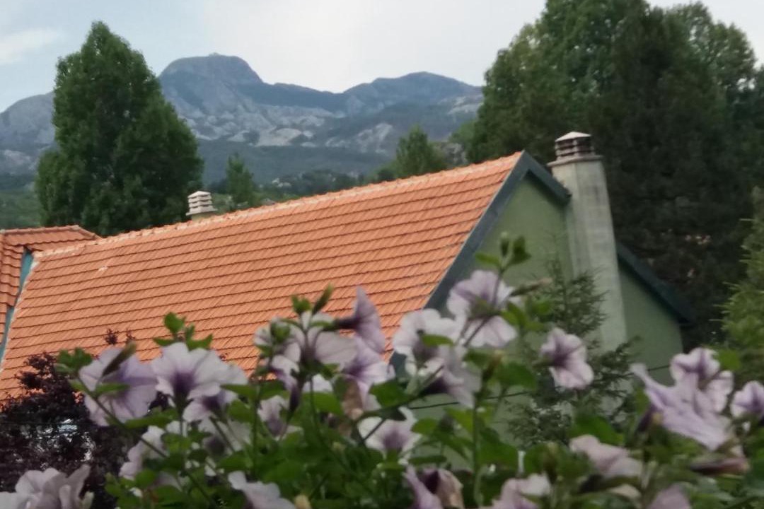 Photo of Others in Donje Polje
