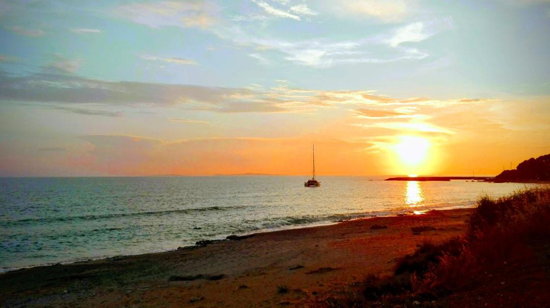 Photo of Others in Lygia