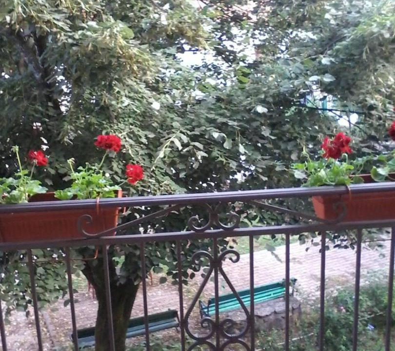Photo of Others in Virpazar
