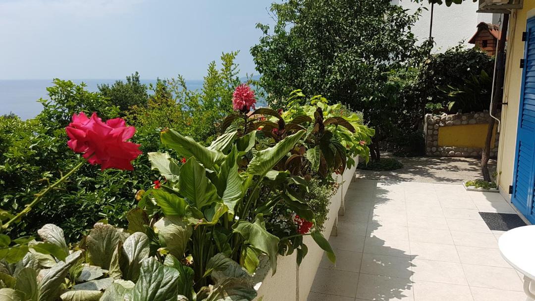 Photo of Others in Sveti Stefan