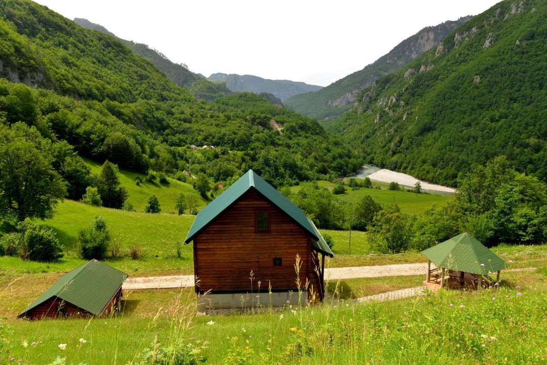Photo of Others in Montenegro