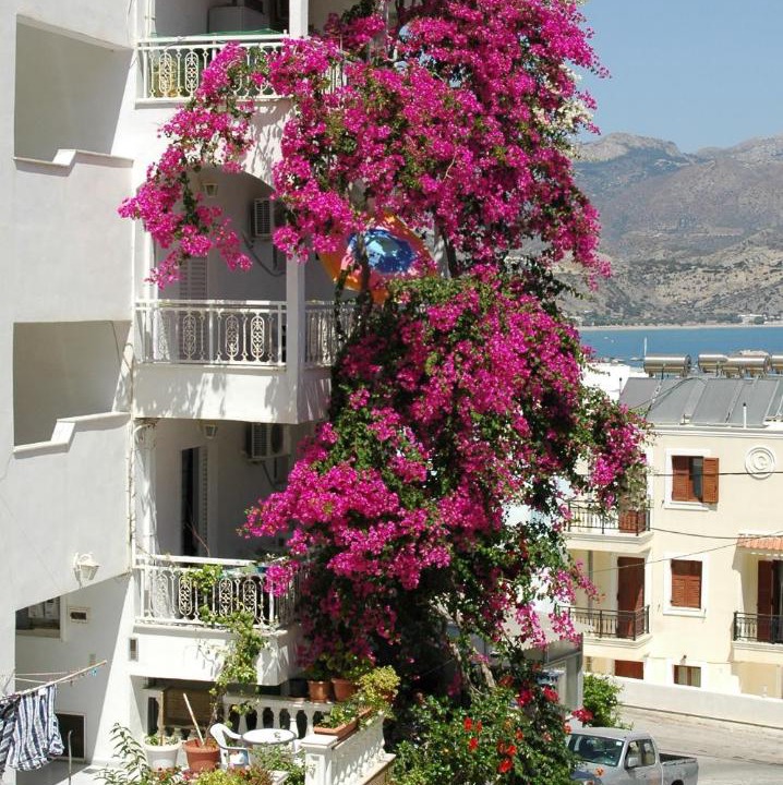 Photo of Others in Karpathos Town