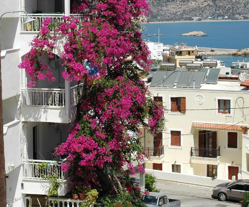 Photo of Others in Karpathos Town