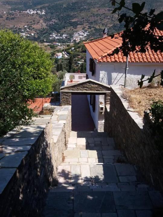 Photo of Others in Andros Town