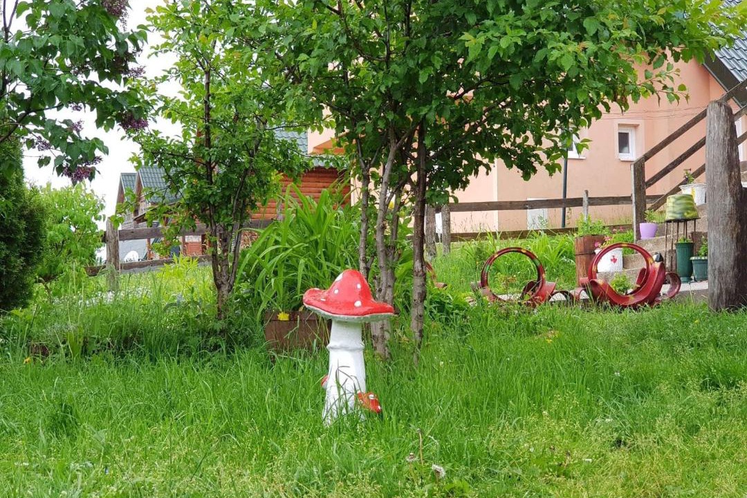Photo of Others in Zabljak
