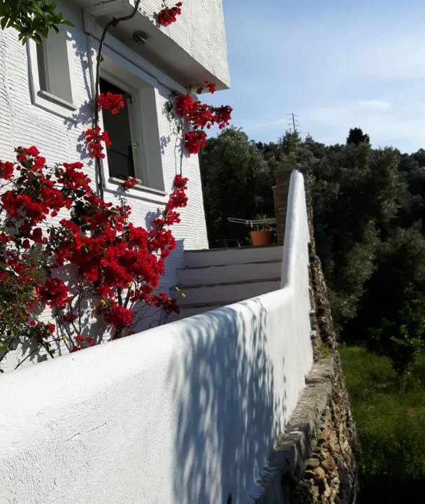 Photo of Others in Andros Town