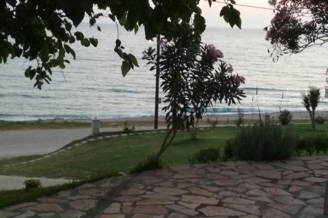 Photo of Others in Lygia