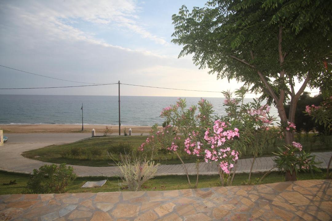 Photo of Others in Lygia