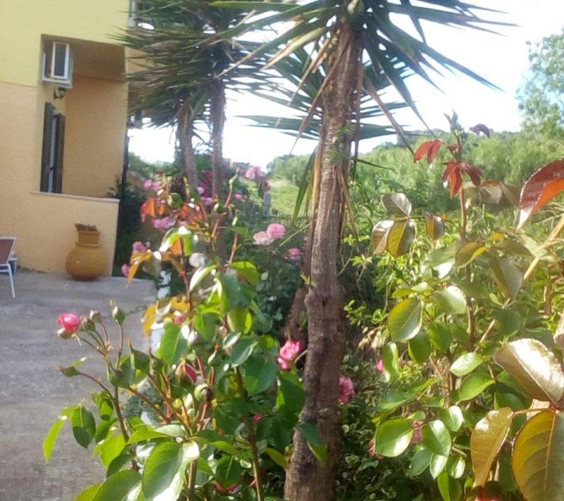 Photo of Others in Sidari