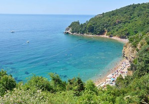 Apartments Ivanović (92981-A1) - Budva