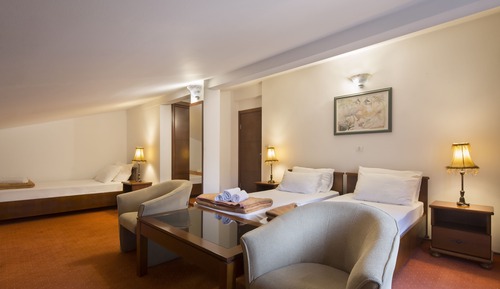 Basic Triple Room