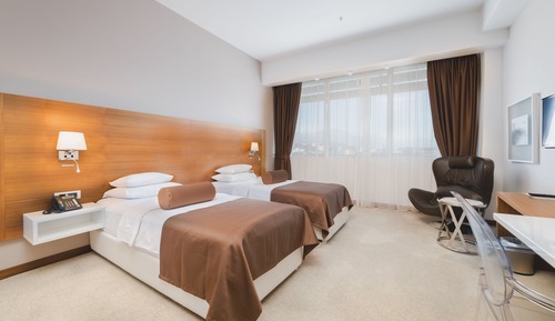 Business Twin Room (Single Use)