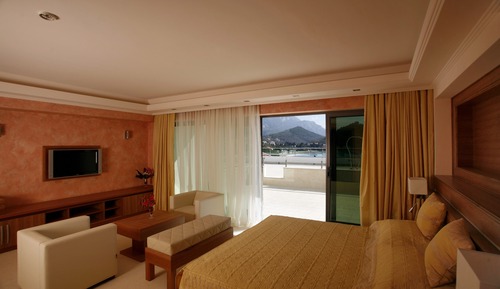 Studio, Balcony, Park View