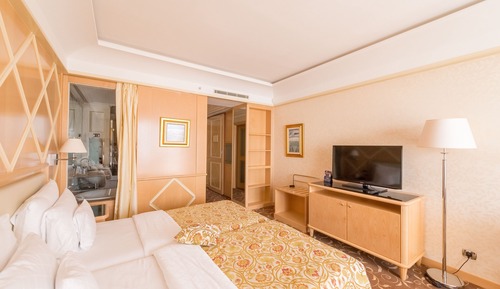 Superior Double or Twin Room (Family Package)