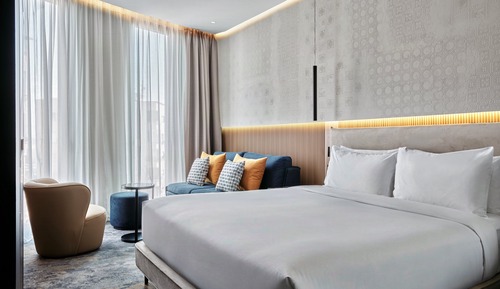 Room, 1 King Bed with Sofa bed