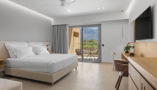 Premium Room
