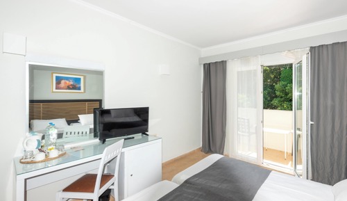 Double or Twin Room, Balcony, Mountain View