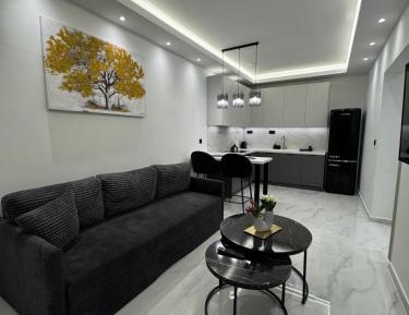 Deluxe One-Bedroom Apartment