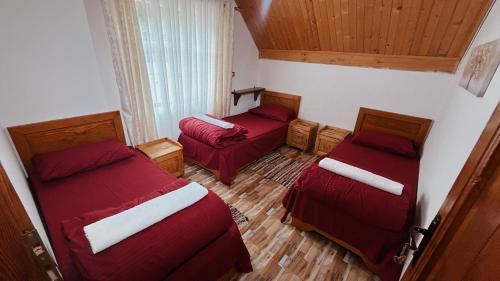 Basic Triple Room