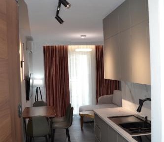 One-Bedroom Apartment with Balcony and Mountain View  
