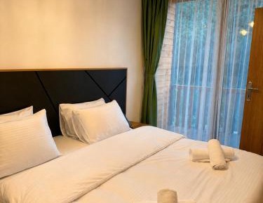 Deluxe One-Bedroom Apartment