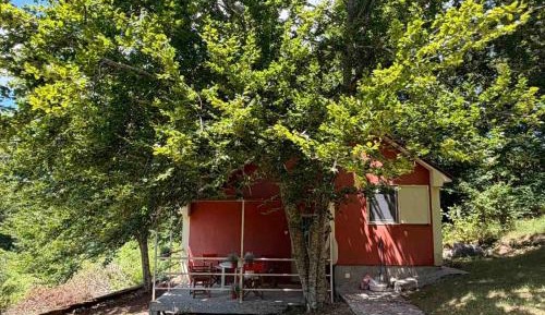 Mobile Home